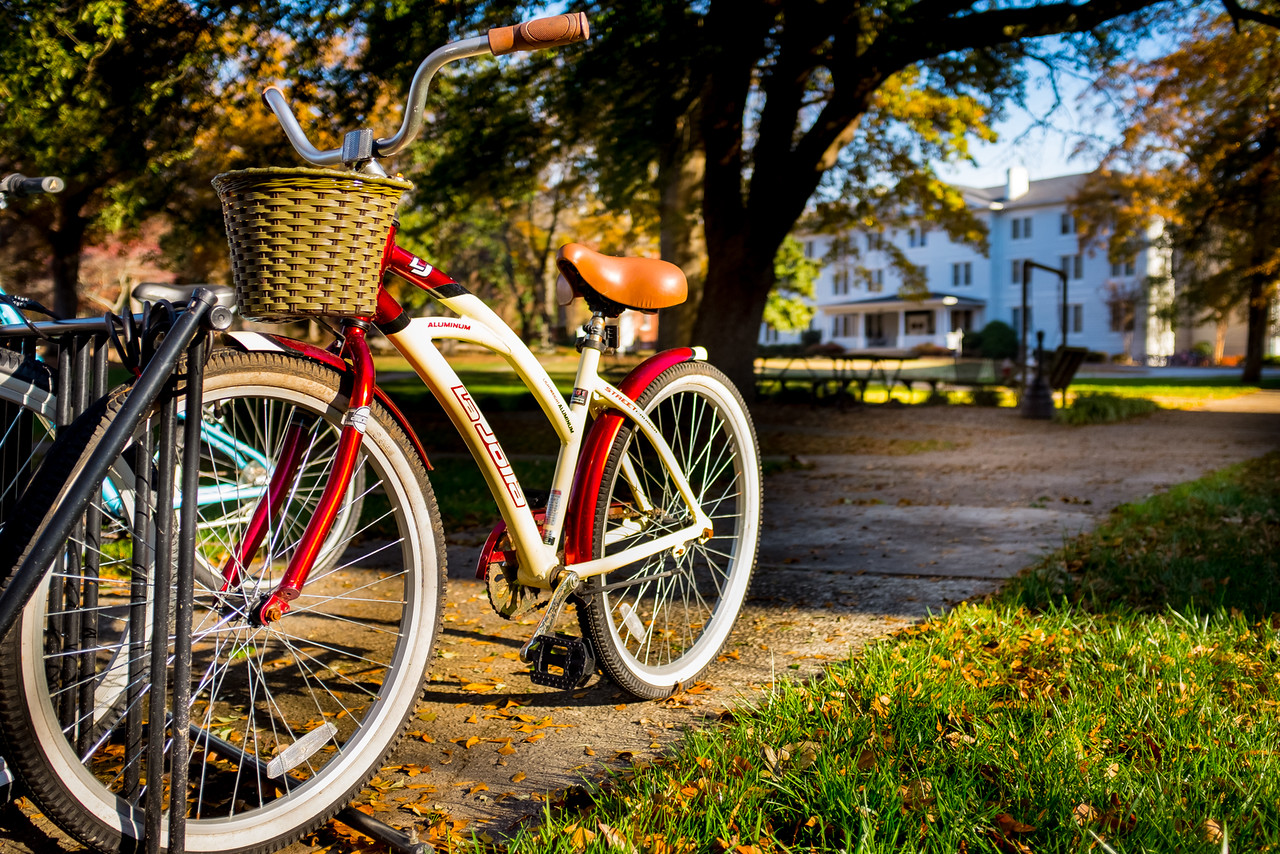 abbeville county, abbeville county recreation, abbeville county bicycle
